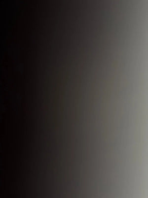 Ab153a521471e4e73840e22665a18695dg.jpg