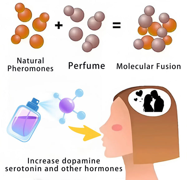 New-Pheromone-Perfume-High-Quality-Charm-Long-Lasting-Fragrance-Attractive-To-Men-and-Women-Strongly-Attracting.jpg